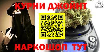 сатива Нарткала