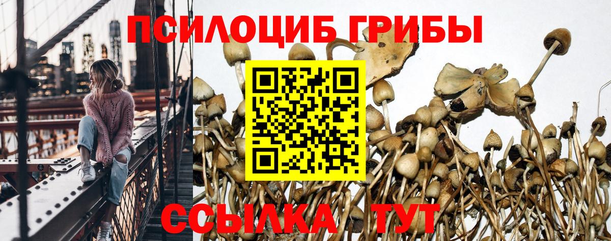 Галлюциногенные грибы MAGIC MUSHROOMS Троицк